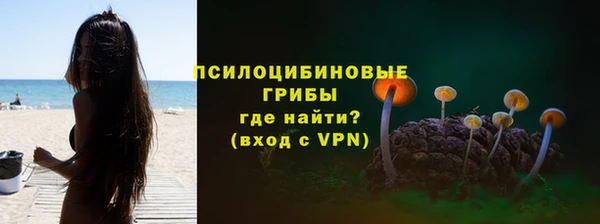 тгк Майский