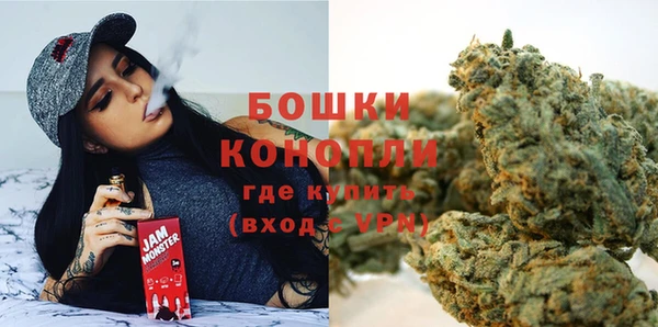 стаф Магас