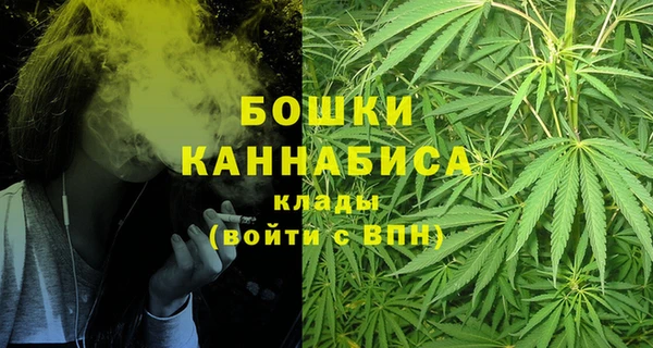 стаф Магас